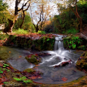 drimos1 Δρυμός Πέρδικας