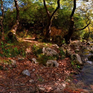 drimos3 Δρυμός Πέρδικας