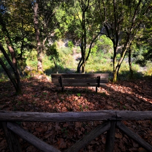 drimos4 Δρυμός Πέρδικας