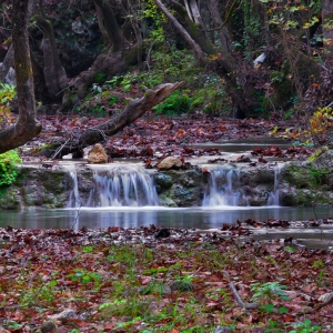 drimos6 Δρυμός Πέρδικας