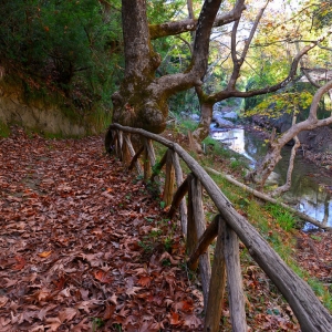 drimos7 Δρυμός Πέρδικας