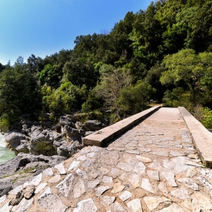 Σκάλα Τζαβέλαινας