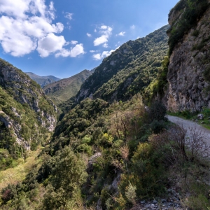 Σκάλα Τζαβέλαινας