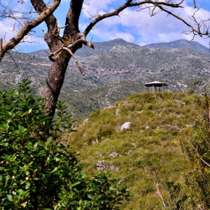 Σκάλα Τζαβέλαινας