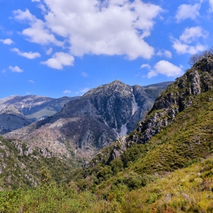 Σκάλα Τζαβέλαινας