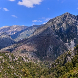 Σκάλα Τζαβέλαινας