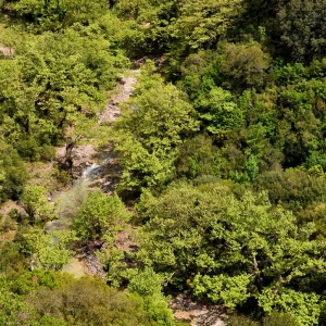 Καλντερίμι του Λάγγαρη
