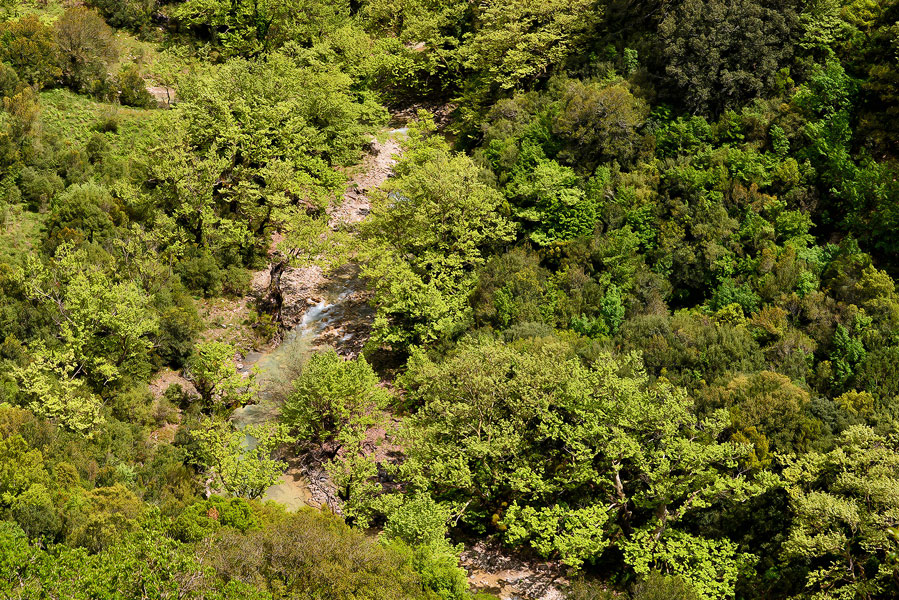 Καλντερίμι του Λάγγαρη