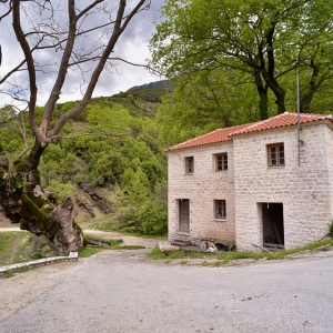 Νερόμυλος Ριζού