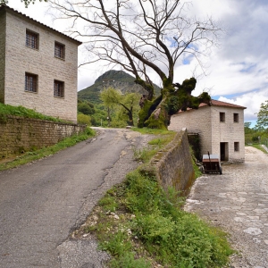 Νερόμυλος Ριζού