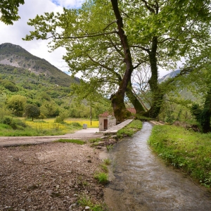 Νερόμυλος Ριζού