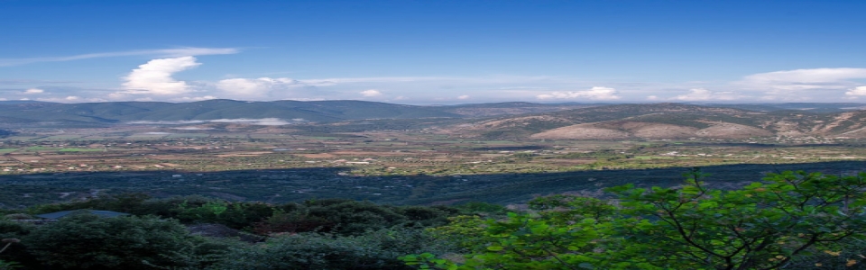 Άγιος Αρσένιος Χρυσαυγής