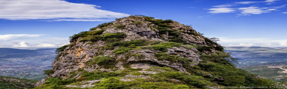 Άγιος Αρσένιος Χρυσαυγής