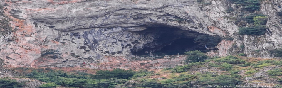 Άγιος Αρσένιος Χρυσαυγής