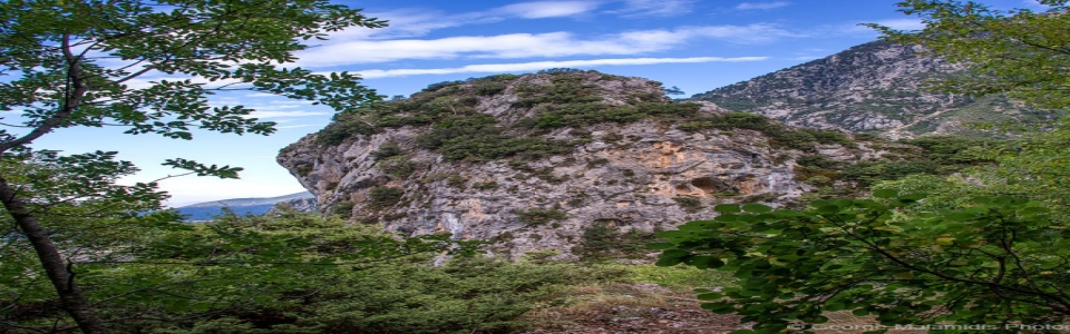 Άγιος Αρσένιος Χρυσαυγής