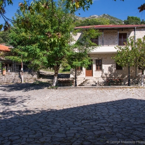 Πλαίσιο Θεσπρωτίας