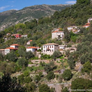 Πλαίσιο Θεσπρωτίας