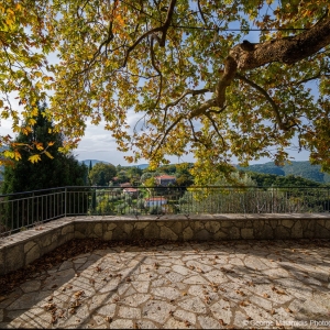 Φοινίκι Θεσπρωτίας