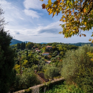 Φοινίκι Θεσπρωτίας