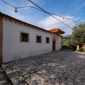 Φοινίκι Θεσπρωτίας