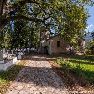 Φοινίκι Θεσπρωτίας