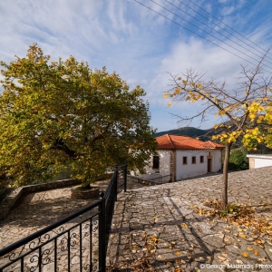 Φοινίκι Θεσπρωτίας