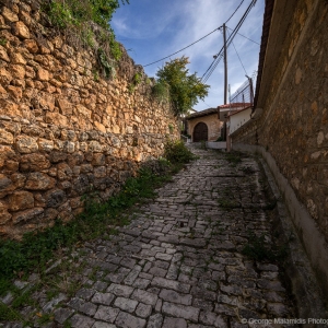 Φοινίκι Θεσπρωτίας