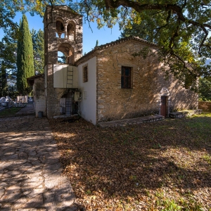 Φοινίκι Θεσπρωτίας