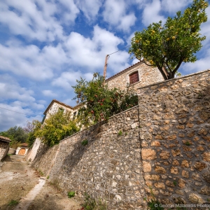 Φοινίκι Θεσπρωτίας Αρχοντικό