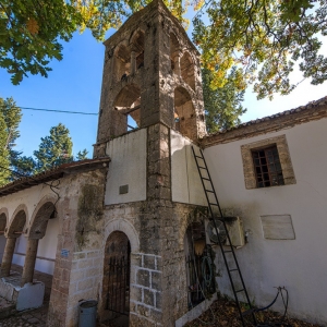 Φοινίκι Θεσπρωτίας