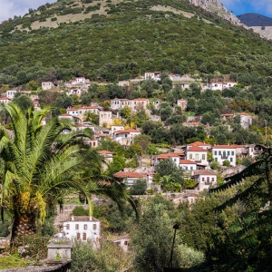 Φοινίκι Θεσπρωτίας