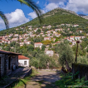 Φοινίκι Θεσπρωτίας