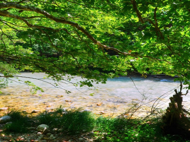 Πηγές Αχέροντα
