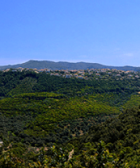 Πανόραμα Πέρδικας – Αρατέντε