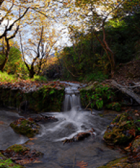 Πάρκο Αναψυχής Πέρδικας