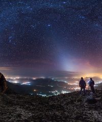 Ζωδιακό Φως στο Γκορίλα Παραμυθιάς