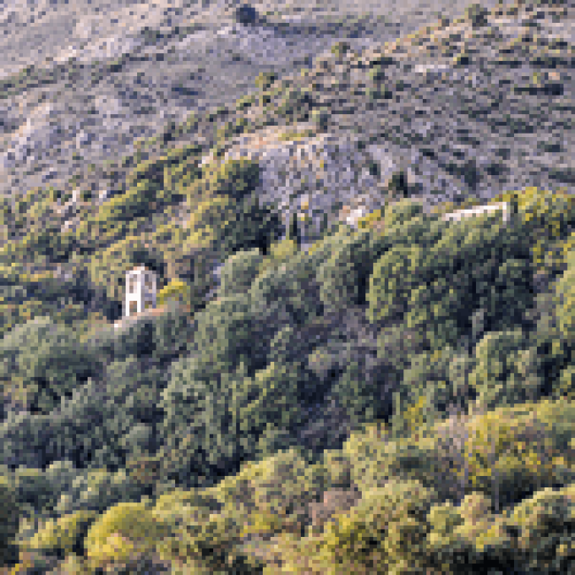 Παλαιά Σαγιάδα – Σαγιάδα – Θεσπρωτία