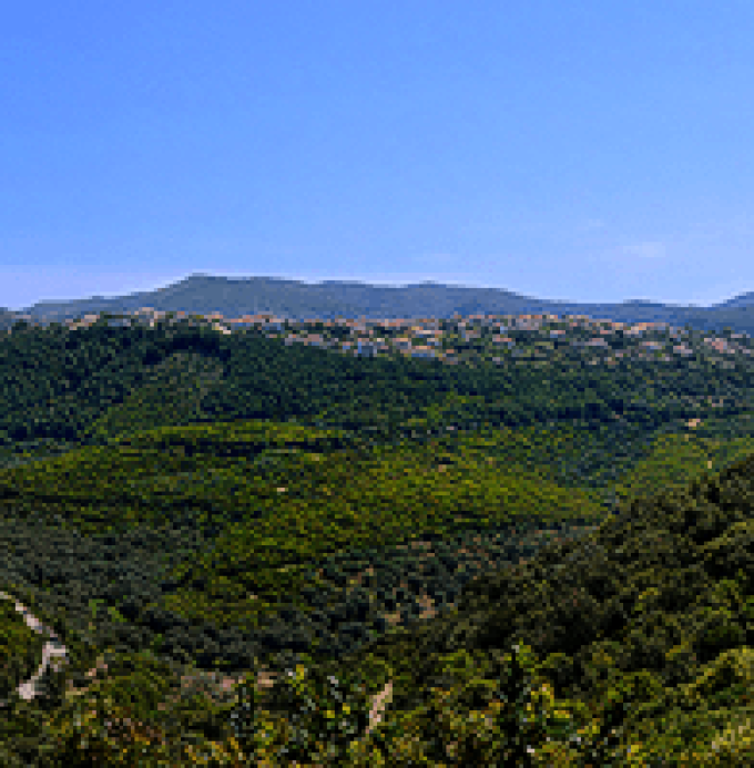 Πανόραμα Πέρδικας – Αρατέντε