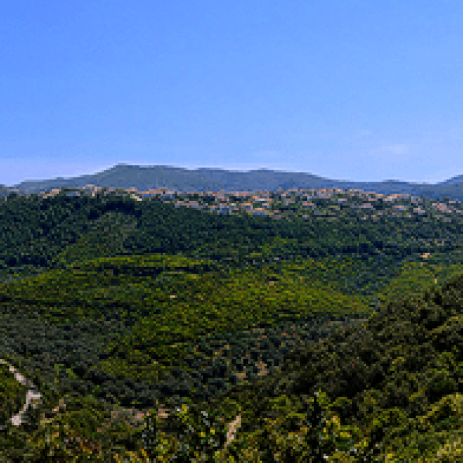 Πανόραμα Πέρδικας – Αρατέντε