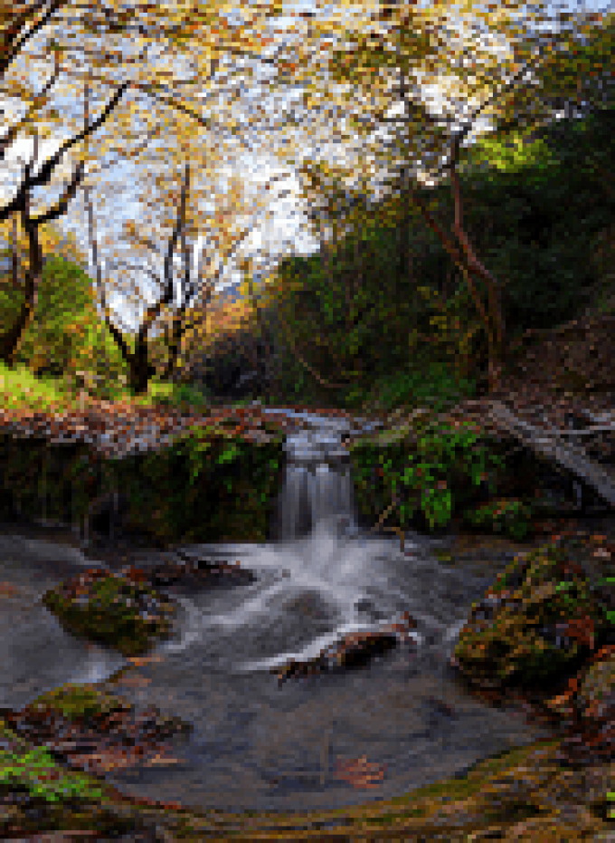 Πάρκο Αναψυχής Πέρδικας