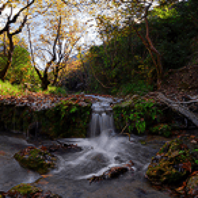Πάρκο Αναψυχής Πέρδικας
