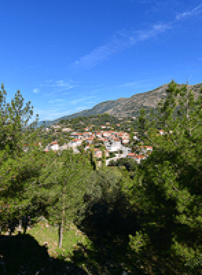 Μαργαρίτι Θεσπρωτίας – Θεσπρωτία