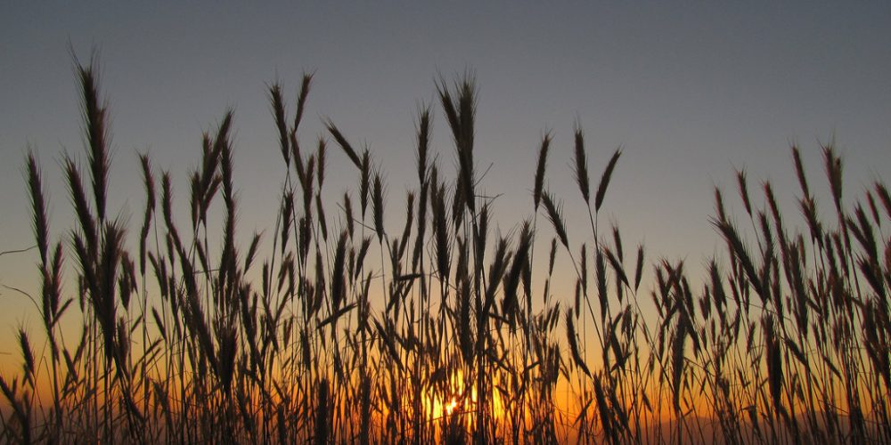 Όρος Χιονίστρα Θεσπρωτίας – Αύγουστος 2014